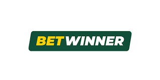Betwinner Your Go-To Betting Platform